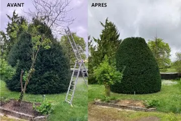 jardinessences élage les arbres pour un jardin bien entretenu en Charente